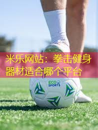 米乐网站：拳击健身器材适合哪个平台