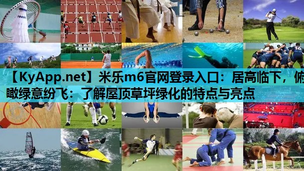 米乐m6官网登录入口：居高临下，俯瞰绿意纷飞：了解屋顶草坪绿化的特点与亮点