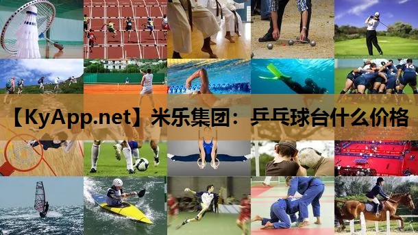 米乐集团：乒乓球台什么价格