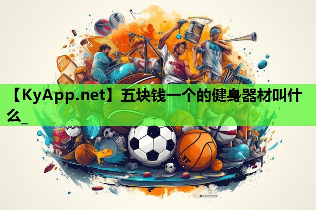 五块钱一个的健身器材叫什么_