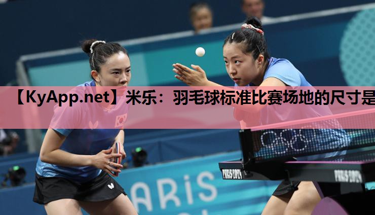米乐：羽毛球标准比赛场地的尺寸是