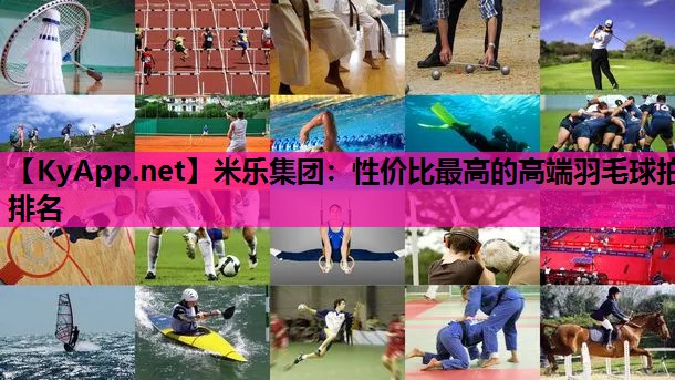 米乐集团：性价比最高的高端羽毛球拍排名