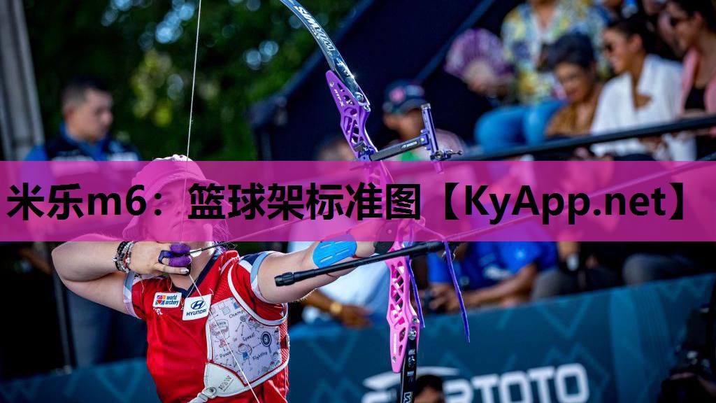 米乐m6：篮球架标准图