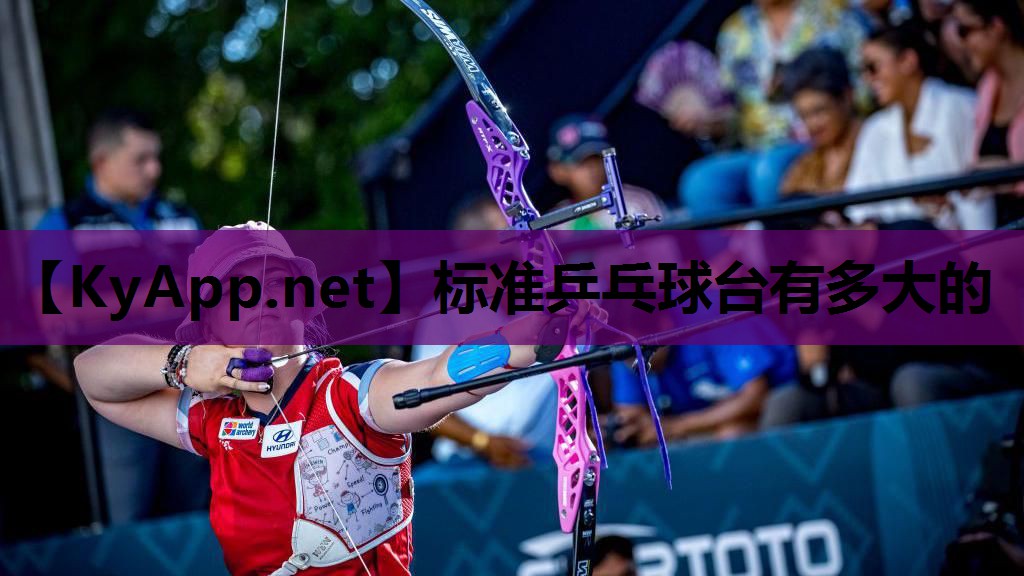 标准乒乓球台有多大的