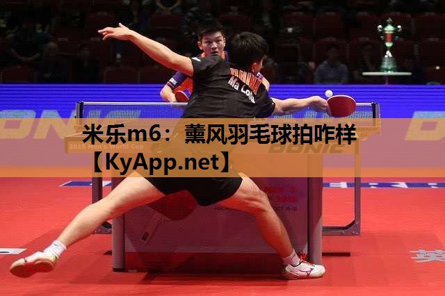 米乐m6：薰风羽毛球拍咋样