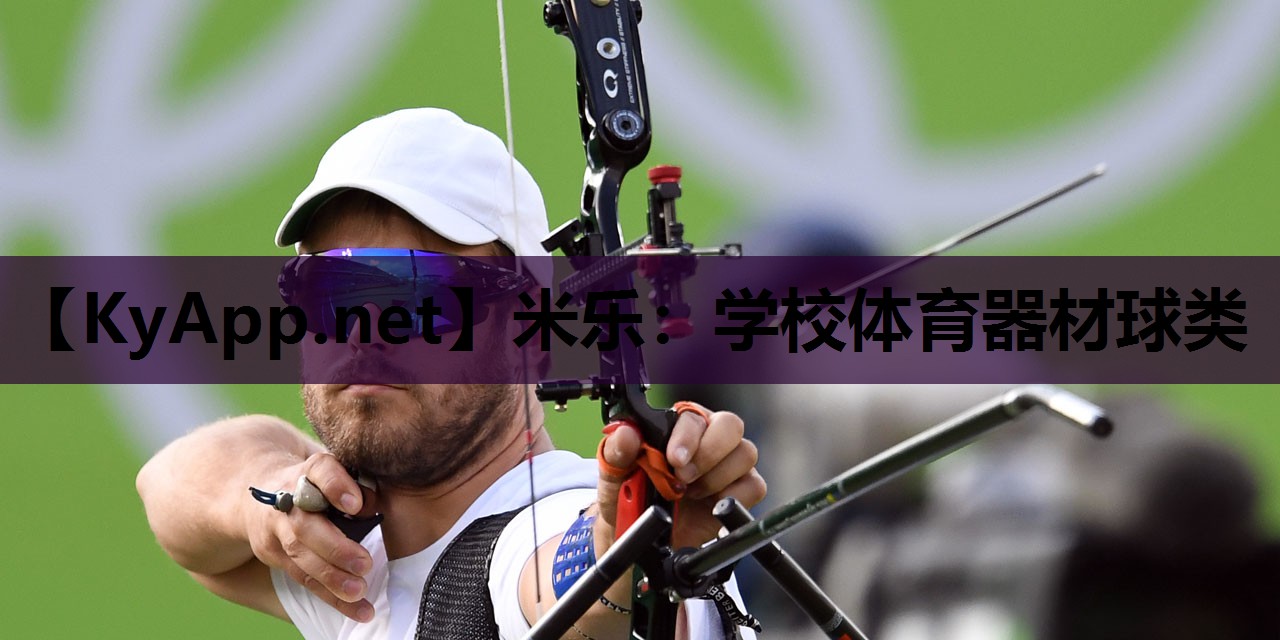 米乐：学校体育器材球类