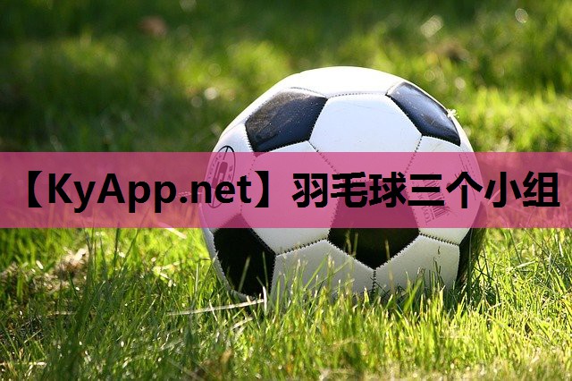 羽毛球三个小组