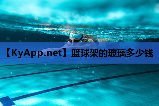 篮球架的玻璃多少钱
