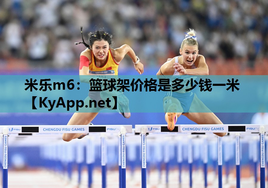 篮球架价格是多少钱一米 篮球架价格是多少钱一米