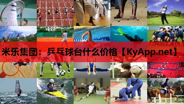 乒乓球台什么价格 乒乓球台什么价格