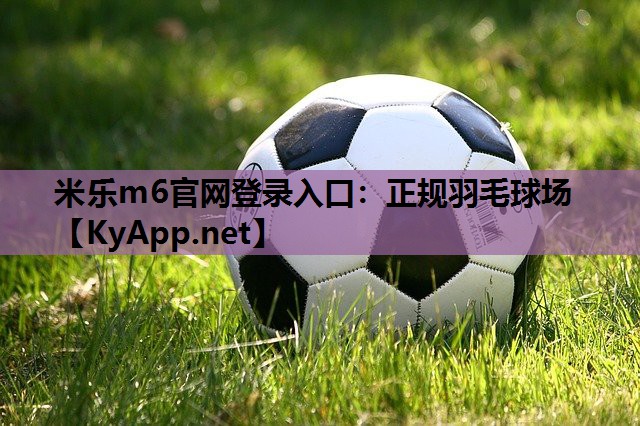 正规羽毛球场 正规羽毛球场