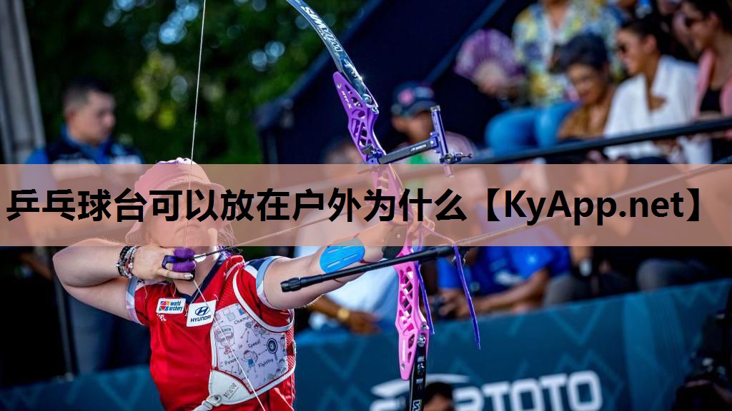 乒乓球台可以放在户外为什么 乒乓球台可以放在户外为什么