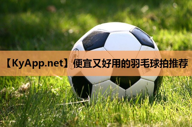 便宜又好用的羽毛球拍推荐 便宜又好用的羽毛球拍推荐