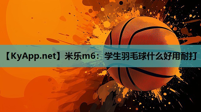 学生羽毛球什么好用耐打 学生羽毛球什么好用耐打