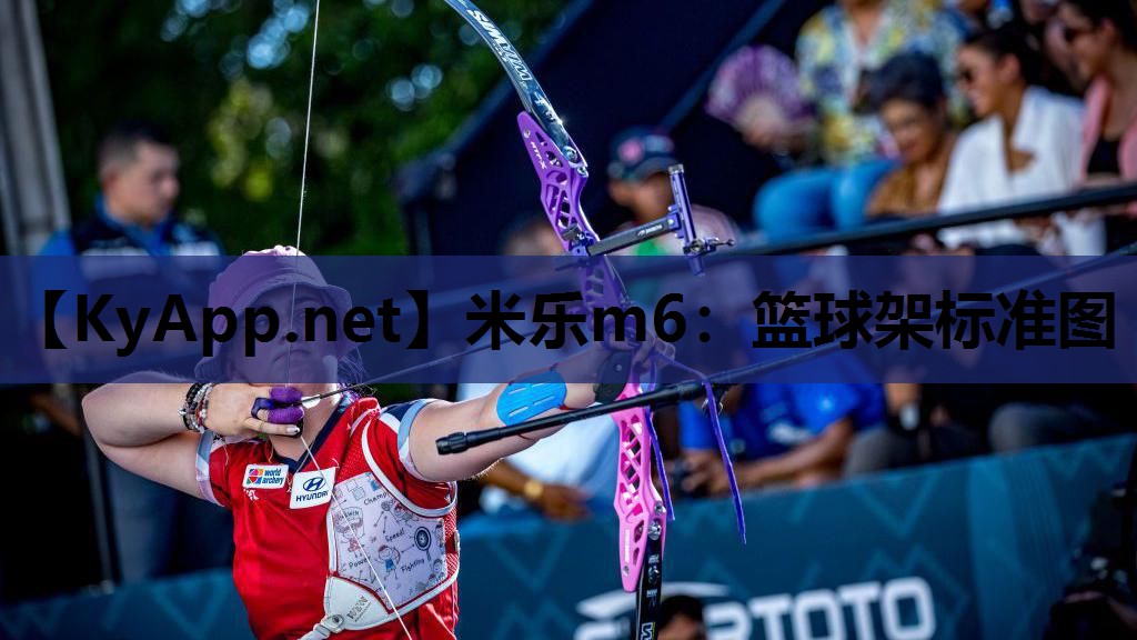 篮球架标准图 篮球架标准图