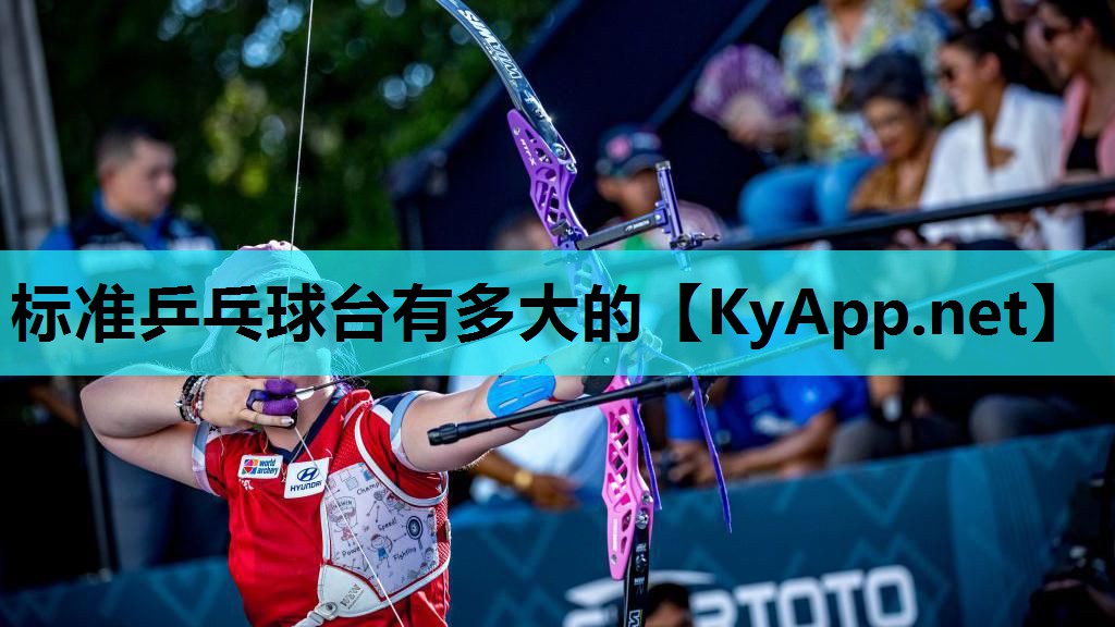 标准乒乓球台有多大的 标准乒乓球台有多大的
