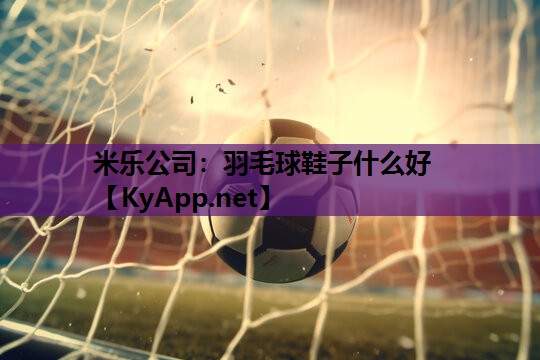 羽毛球鞋子什么好 羽毛球鞋子什么好