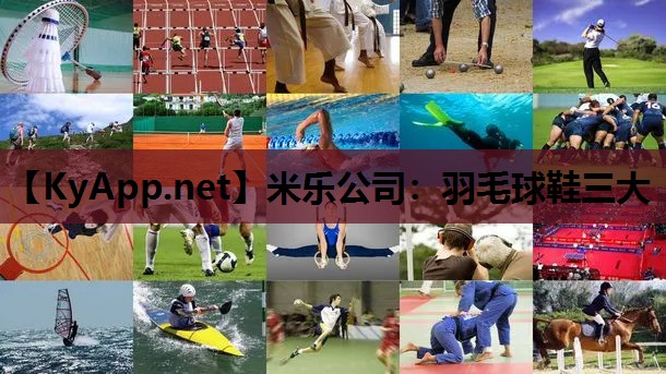 羽毛球鞋三大 羽毛球鞋三大