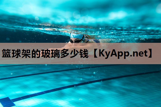 篮球架的玻璃多少钱