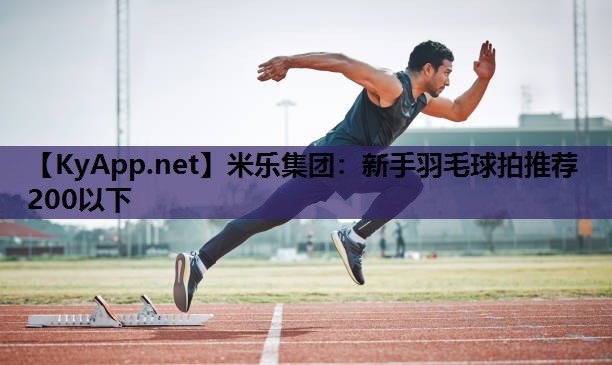 新手羽毛球拍推荐200以下