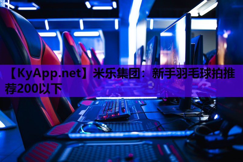 新手羽毛球拍推荐200以下