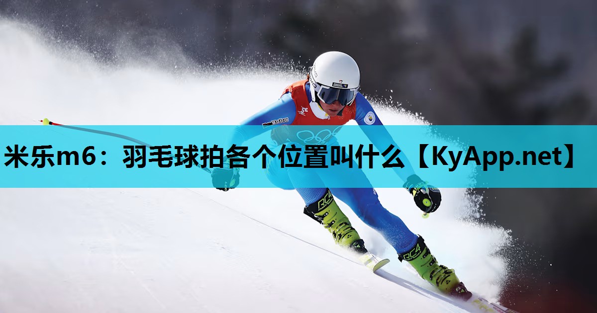 羽毛球拍各个位置叫什么