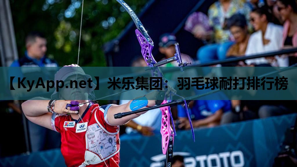 羽毛球耐打排行榜 羽毛球耐打排行榜
